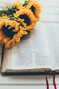 Bible Verses That prove God Is not out To Condemn Us but to save us!